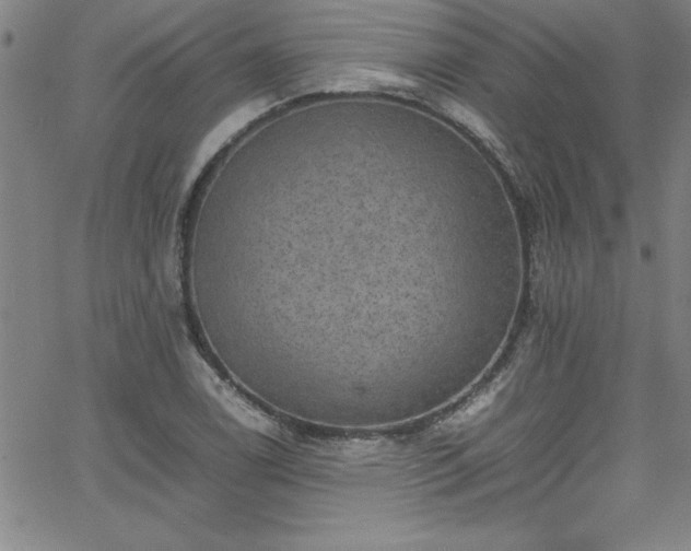 X0000065981122200603061207