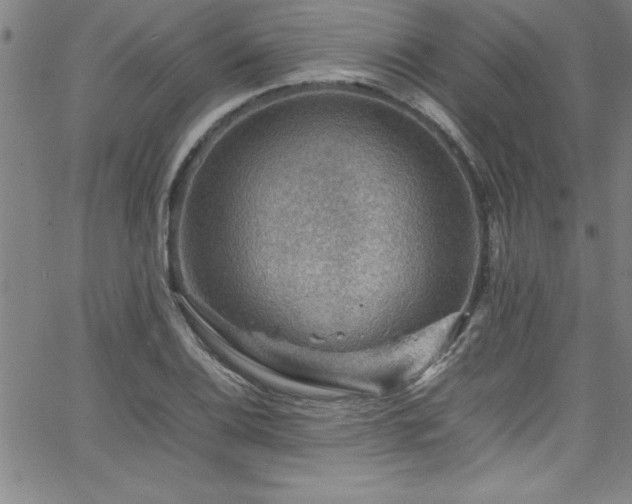 X0000065981124200603061207