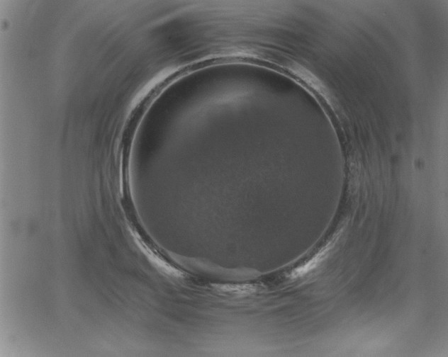 X0000065981127200603061208