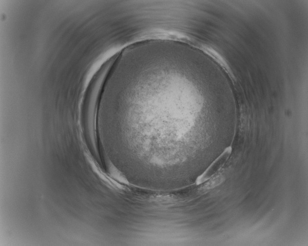 X0000065981128200603061208