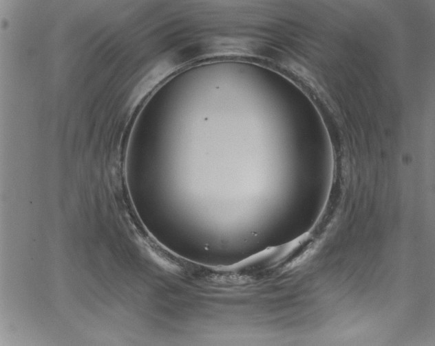 X0000065981129200603061208