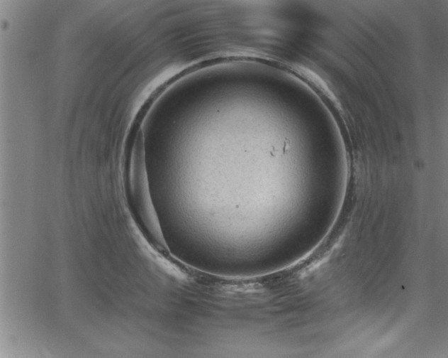 X0000065981133200603061208