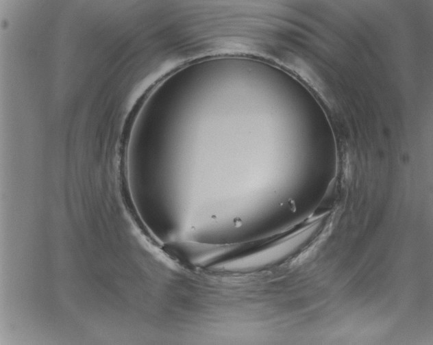 X0000065981134200603061208