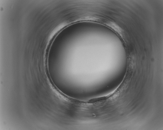 X0000065981135200603061208