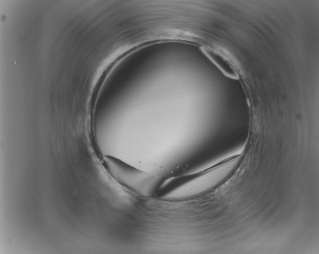 X0000065981136200603061208