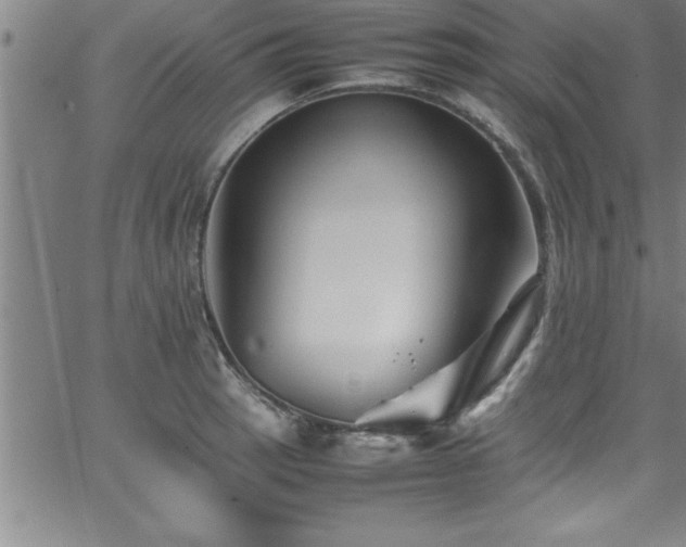 X0000065981137200603061208