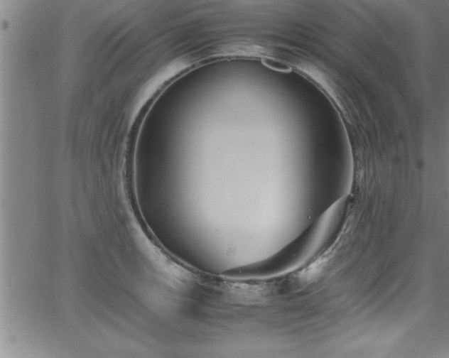 X0000065981139200603061208