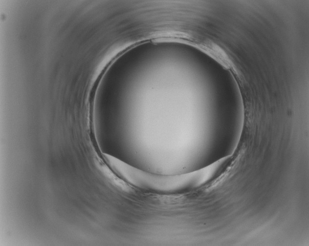 X0000065981140200603061208