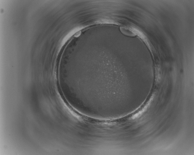 X0000065981141200603061208