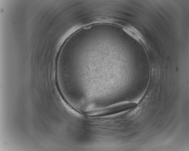 X0000065981143200603061208