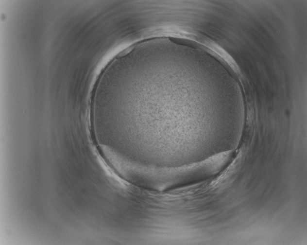 X0000065981144200603061208