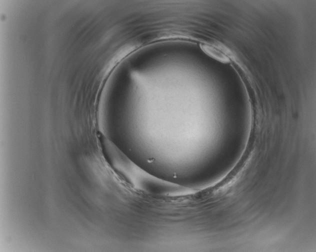 X0000065981145200603061208