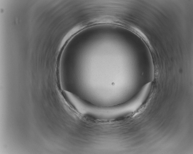 X0000065981146200603061208