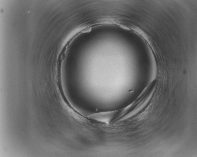 X0000065981147200603061208