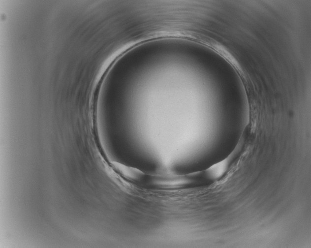 X0000065981148200603061208