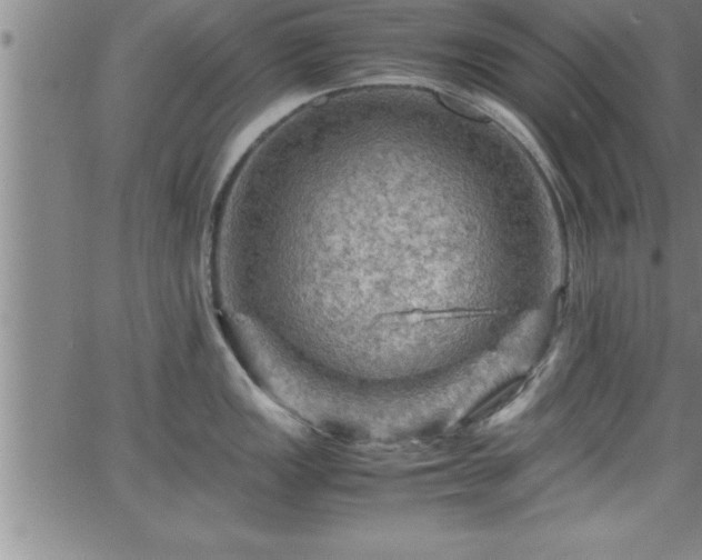 X0000065981149200603061208