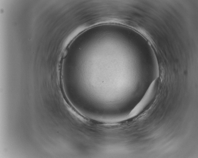 X0000065981151200603061208