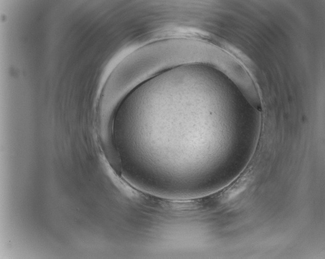 X0000065981152200603061208