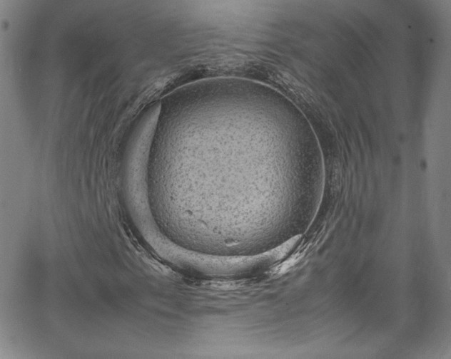 X0000065981153200603061207