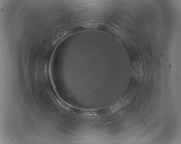 X0000065981154200603061207