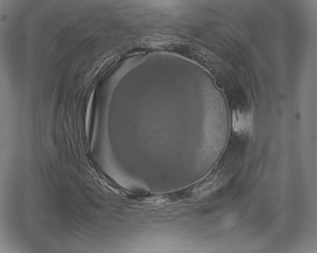 X0000065981155200603061207