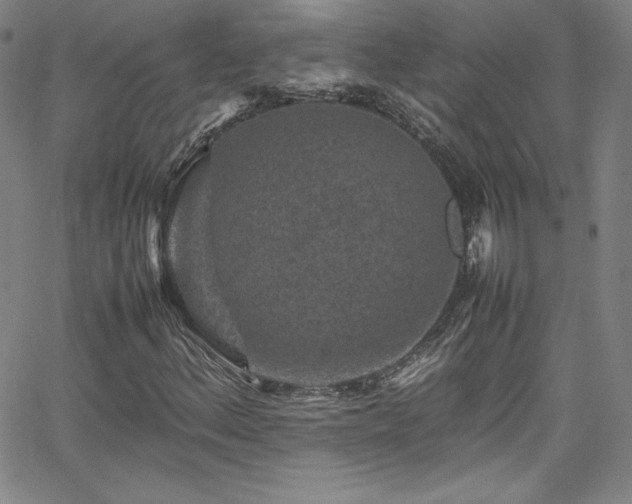 X0000065981156200603061207