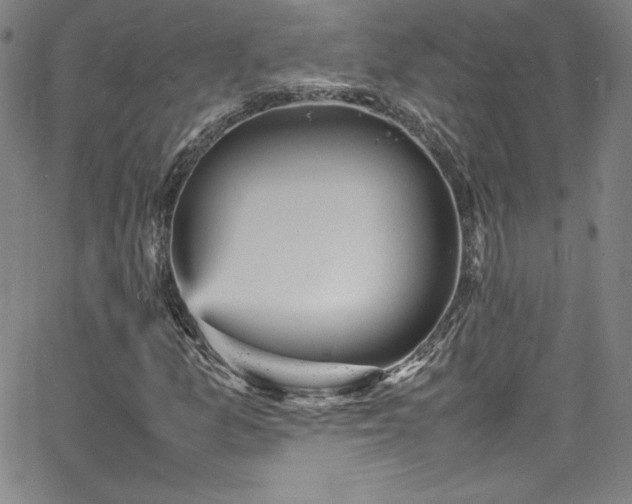 X0000065981157200603061207