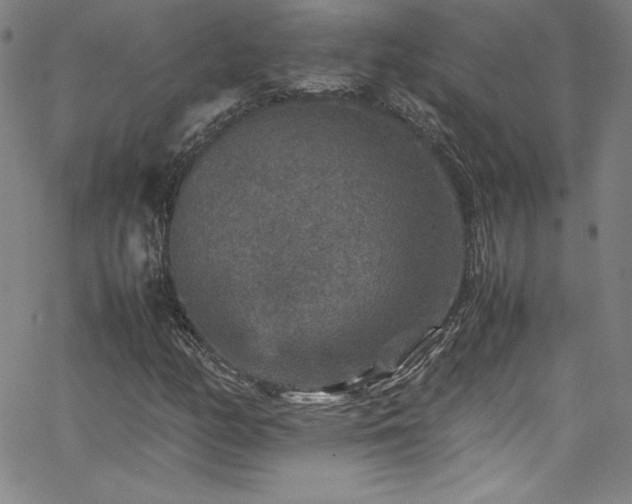 X0000065981158200603061207