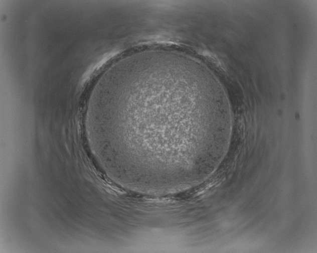 X0000065981159200603061207