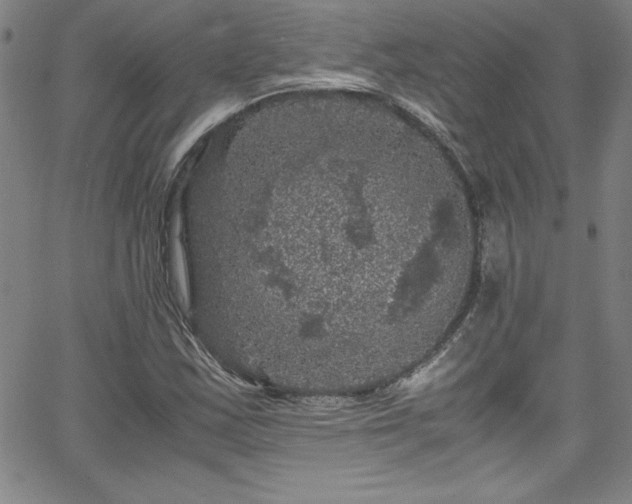 X0000065981163200603061207