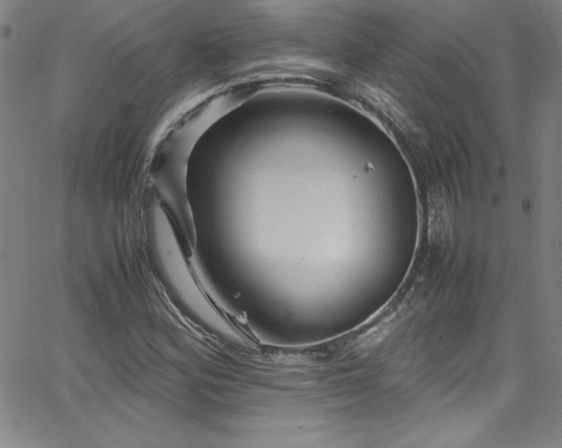 X0000065981164200603061207