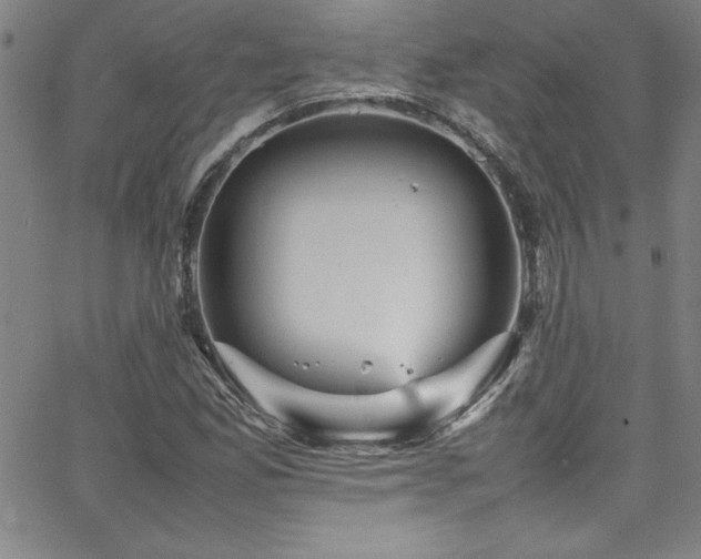 X0000065981165200603061207