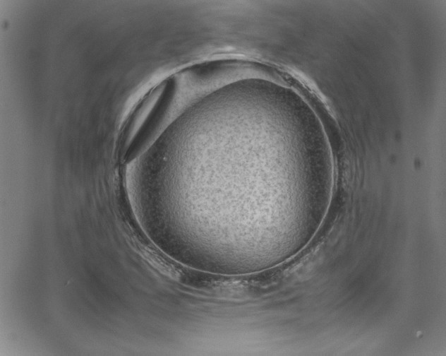 X0000065981167200603061207