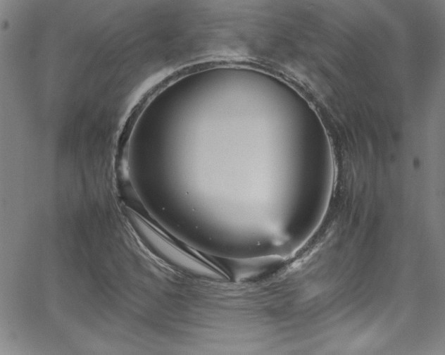 X0000065981168200603061207