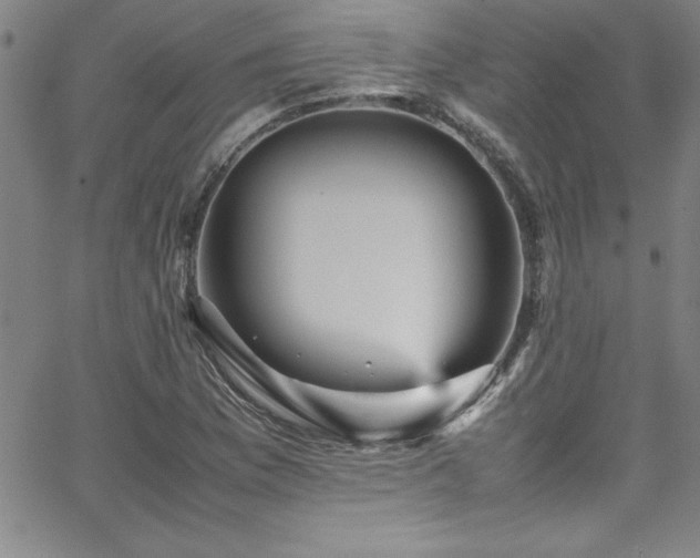 X0000065981169200603061207