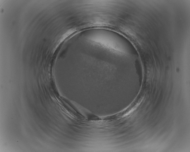 X0000065981170200603061207