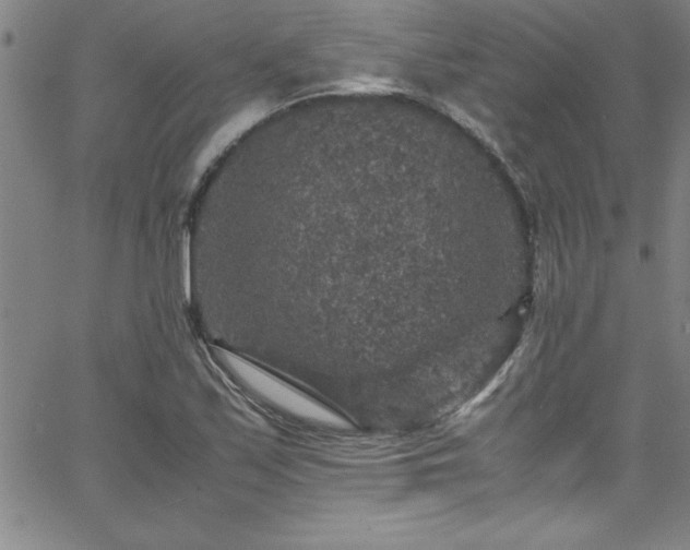 X0000065981171200603061207