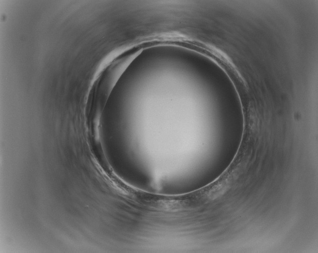 X0000065981176200603061207