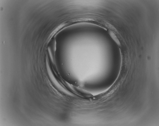 X0000065981177200603061207