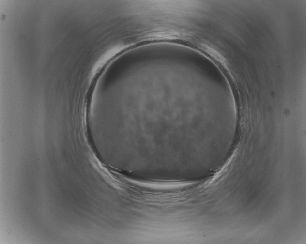 X0000065981179200603061207