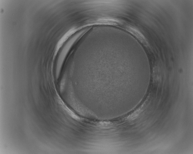 X0000065981180200603061207