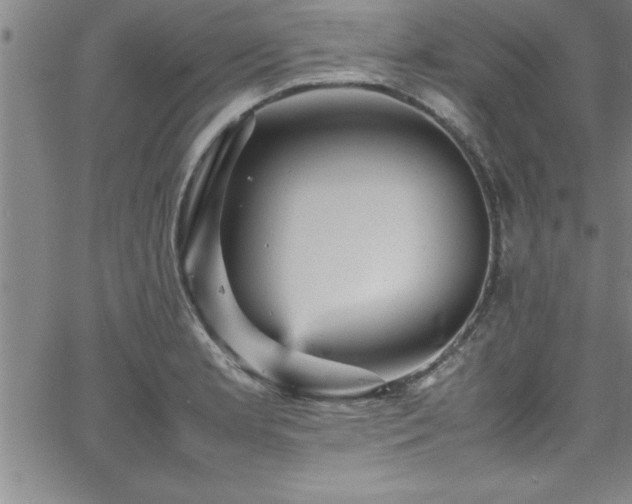 X0000065981181200603061207