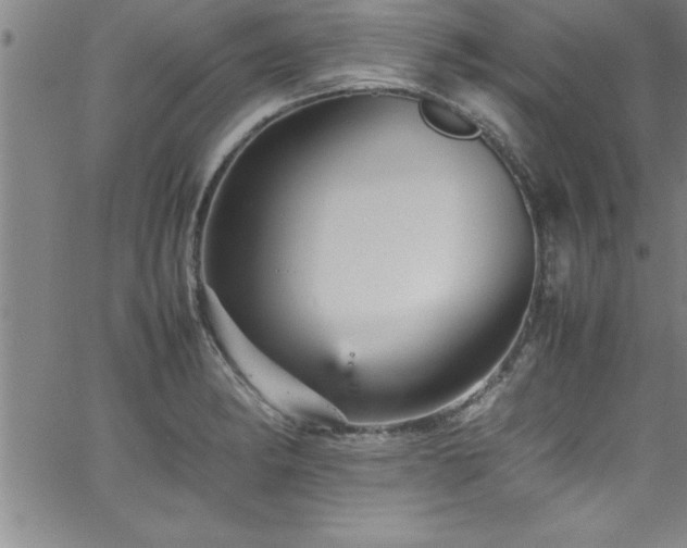 X0000065981182200603061207