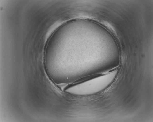 X0000065981183200603061207