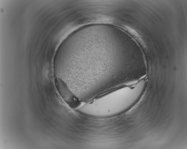 X0000065981184200603061207