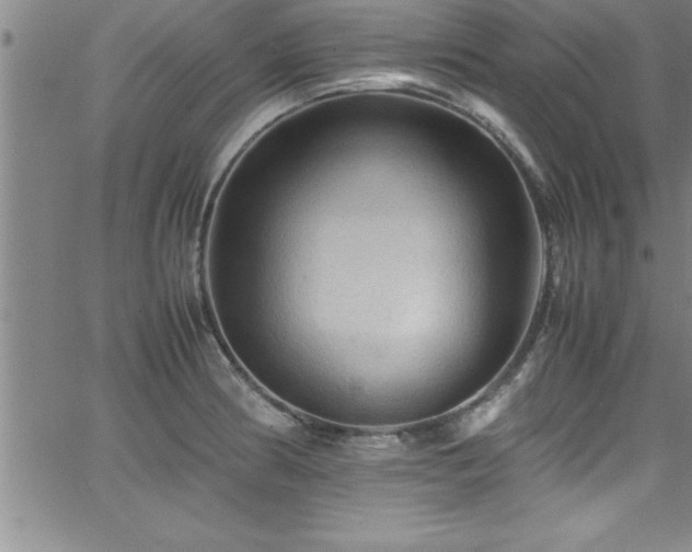 X0000065981186200603061207