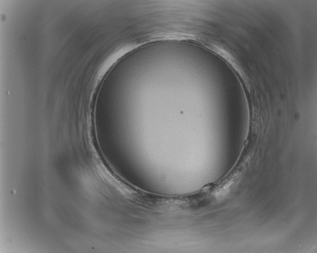 X0000065981187200603061207