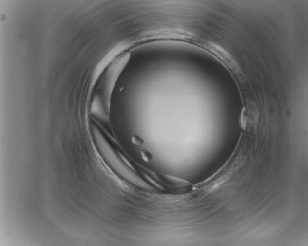 X0000065981188200603061207