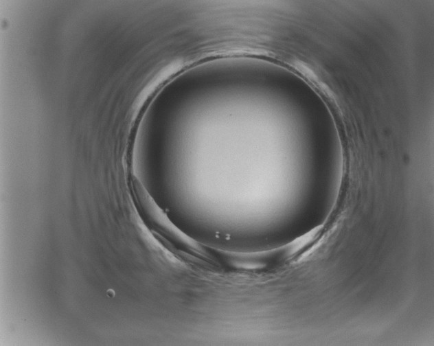 X0000065981189200603061207