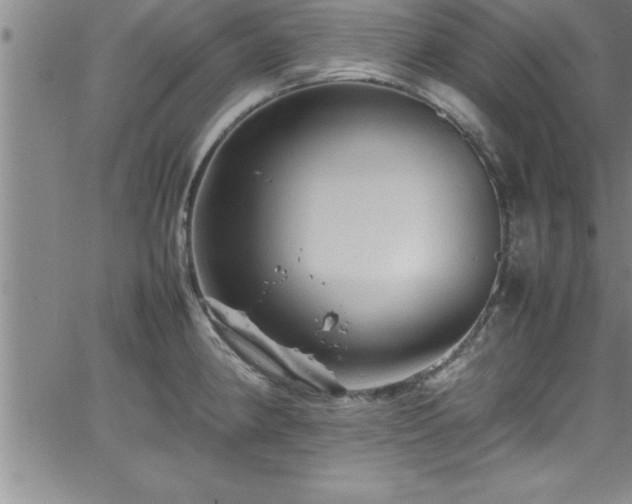 X0000065981190200603061207